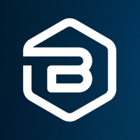 BRAYSTONE CONSULTING logo - Similar company to Duotv Medya