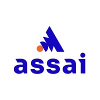 Assai Software logo - Similar company to International Data Security User Group