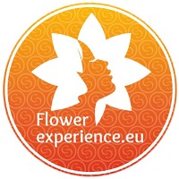 Flower Experience (Sobolj) logo - Similar company to Reypenaer