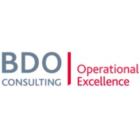 BDO Operational Excellence logo - Similar company to Ergosoft