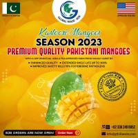 Global Trade B2B Import Export Private Limited logo - Similar company to Import Export Uae