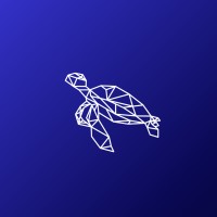 Blue Turtle Entertainment logo - Similar company to Tvash Studio