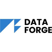Data Forge logo - Similar company to Data Forge