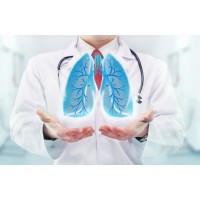 Pulmonary And Internal Medicine Associates, Inc.