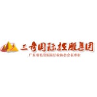 三奇国际控股集团