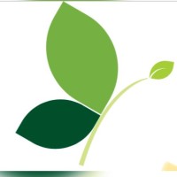 Comercializadora Fadume logo - Similar company to Office Partners Inc
