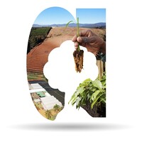 Allesbeste logo - Similar company to Agrilife Studios