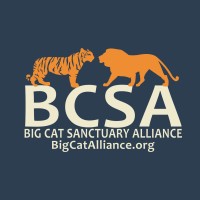 Big Cat Sanctuary Alliance logo - Similar company to Abwak
