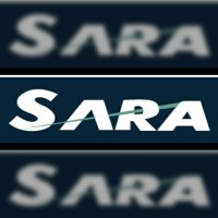 Sara Trading Corporation logo - Similar company to Srv Group