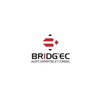 Cabinet Bridg'Ec logo - Similar company to Be Hr