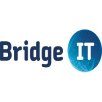Bridge It