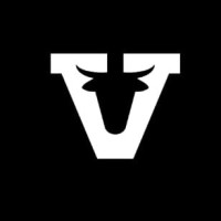 Detailing Bull Noida logo - Similar company to Detailing Bull