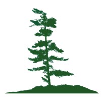 Brackenrig Capital logo - Similar company to Blodwen Audrey