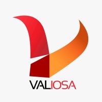 Valiosa sd logo - Similar company to Technic Professional For Integrated Solutions