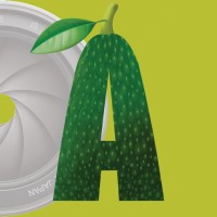 Avocado Media logo - Similar company to Avocado Media