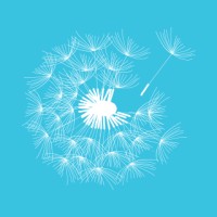 Introspection logo - Similar company to Self Reflection