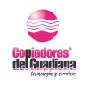 Copiadoras del Guadiana logo - Similar company to Vcssystem