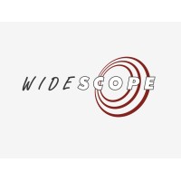 WideScope HR Services & Consulting GmbH logo - Similar company to Ving Tsun Berlin