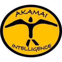 Akamai Intelligence LLC logo - Similar company to Decisiveinstincts Llc