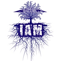 IAM Sports & Entertainment logo - Similar company to Narrow Pathway Management