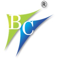 Balaji Credit Services Private Limited logo - Similar company to Selfin India Financial Services Private Limited