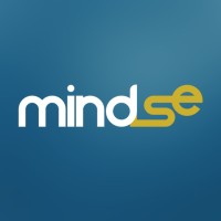 MindSe logo - Similar company to Mindise