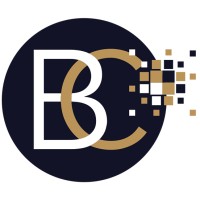 Brodtmann Consulting logo - Similar company to Vivid Software
