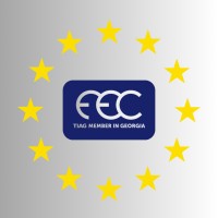 FEC • Financial Experts Corporation logo - Similar company to Context Consulting