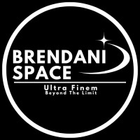 Brendani Space logo - Similar company to Daedalus Aerospace Solutions