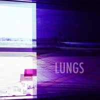 LUNGS logo - Similar company to Sport Models Agency