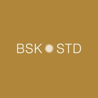 Bask Studio logo - Similar company to Alkot Studio