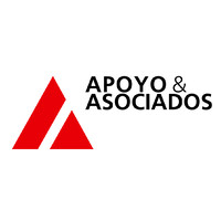 Apoyo & Asociados Internacionales / Fitch Ratings affiliated logo - Similar company to Microrate - Rating Agency