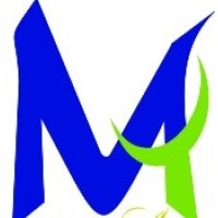 Madhukar Technologies logo - Similar company to Innovision Touch