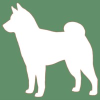 Shiba Inu Studio logo - Similar company to Cancog