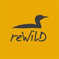 reWiLD logo - Similar company to Remote Software Engineering Jobs