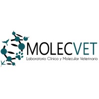 MOLECVET logo - Similar company to Goaldi Coaching & Consulting