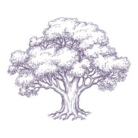 LSU Interfraternity Council (IFC) logo - Similar company to Querbes And Nelson