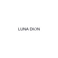 Luna Dion logo - Similar company to Onr Studios