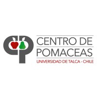 Centro de Pomáceas, Universidad de Talca logo - Similar company to Creative Studio By @Olgaspons