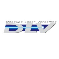 DLV logo - Similar company to Proj'Indus