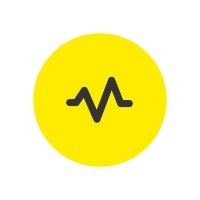 VAICS Consulting logo - Similar company to Phuse