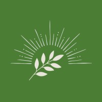 Matcha Studios logo - Similar company to Kevin Gallagher