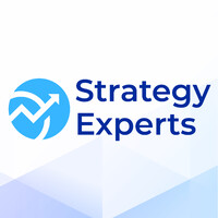 Strategy Experts logo - Similar company to Strategy Beyond Borders
