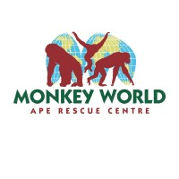 Monkey World - Ape Rescue Centre logo - Similar company to Reme Museum