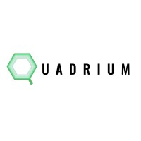 Quadrium Innovation logo - Similar company to The Smartworking Company