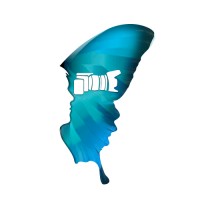 Butterflies in Brain Productions logo - Similar company to Superads