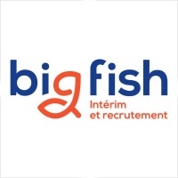 Big Fish intérim et recrutement logo - Similar company to Valeurs Rh