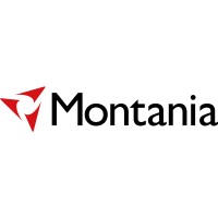 Montania System AB logo - Similar company to Thora Cyber Security