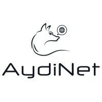 AydiNet logo - Similar company to Lad Tech