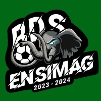 BDS Ensimag logo - Similar company to Bde Ensimag
